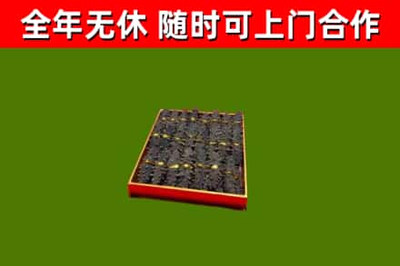 城关回收海参